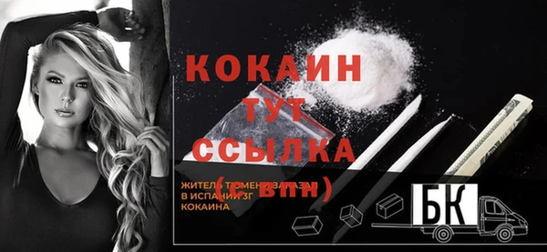 ПСИЛОЦИБИНОВЫЕ ГРИБЫ Козловка