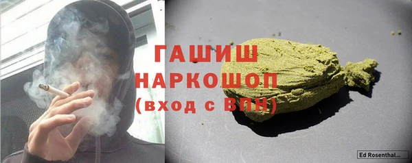 сатива Коряжма