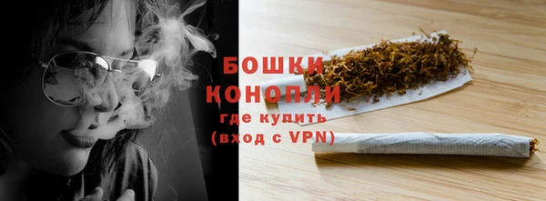 сатива Коряжма