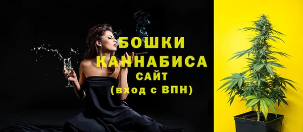 сатива Корсаков