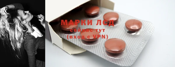 сатива Коряжма