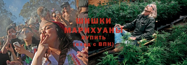 сатива Корсаков