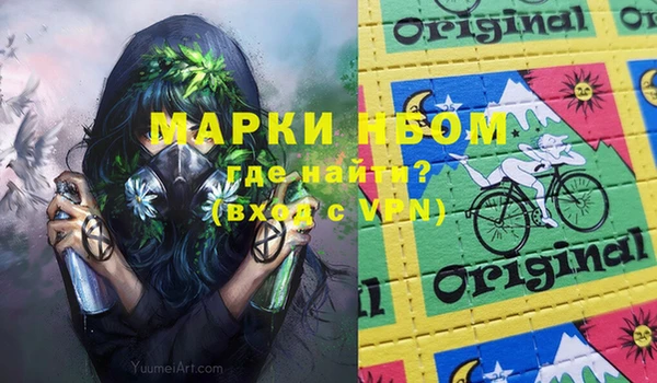 сатива Коряжма