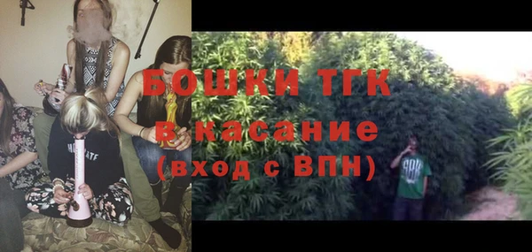 ПСИЛОЦИБИНОВЫЕ ГРИБЫ Козловка