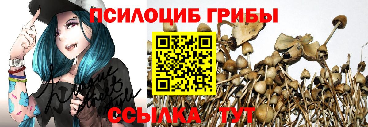 Псилоцибиновые грибы Cubensis  Псилоцибиновые грибы MAGIC MUSHROOMS  Вход с VPN  цена   Фрязино 